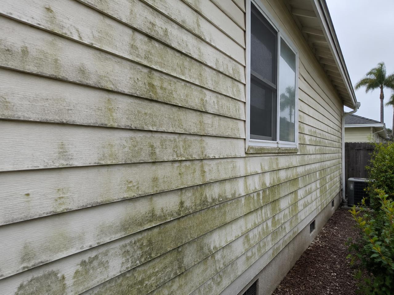 Exterior House Washing — before